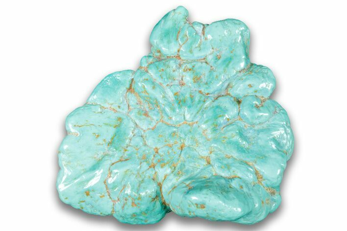 Polished Chilean Turquoise ( grams) Nugget #324110
